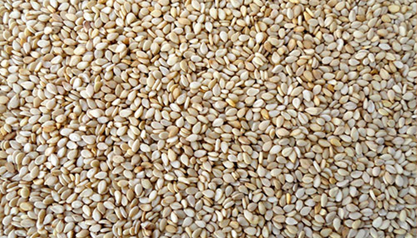 Sesame Seeds